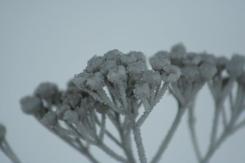 IMG_1723.jpg1.jpg"%20height="533"%20width="800